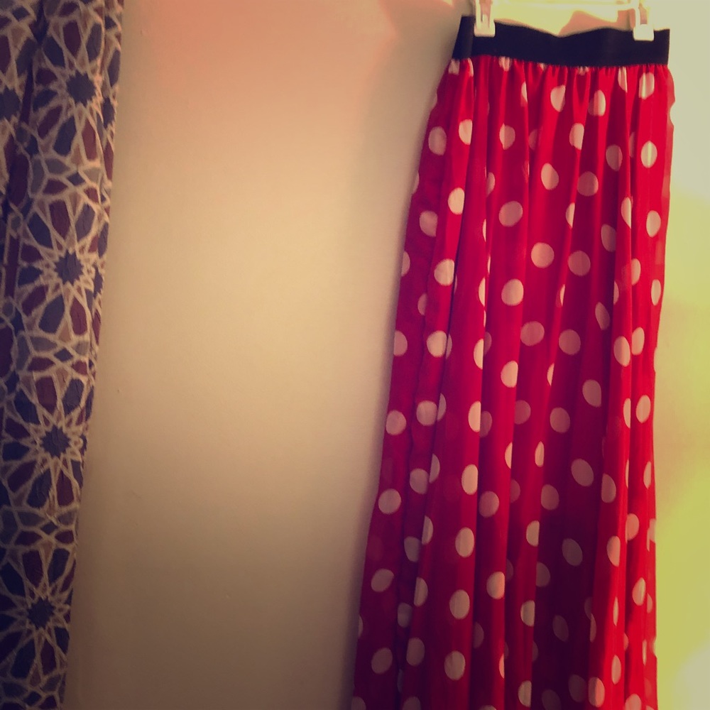 Gorgeous maxi skirt